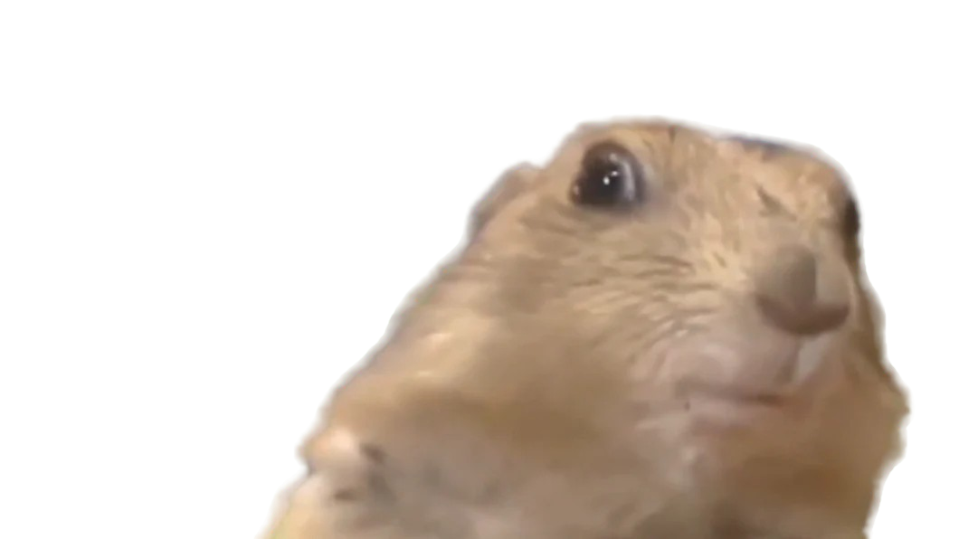 meme
